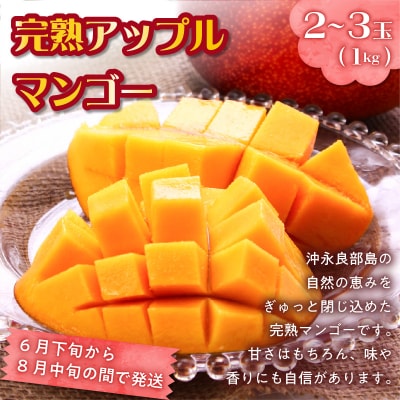 和泊町「夢」のコラボ【2回】定期便C