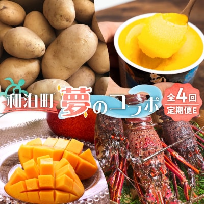 和泊町「夢」のコラボ【4回】定期便E