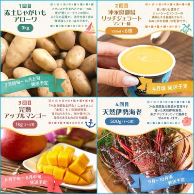 和泊町「夢」のコラボ【4回】定期便E