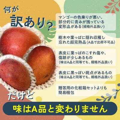 【先行受付】(ご家庭用)美味しい!完熟アップルマンゴー 約1.3キロ　2玉～3玉【7月初旬～8月下旬
