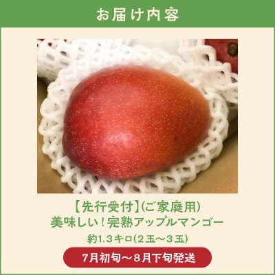 【先行受付】(ご家庭用)美味しい!完熟アップルマンゴー 約1.3キロ　2玉～3玉【7月初旬～8月下旬