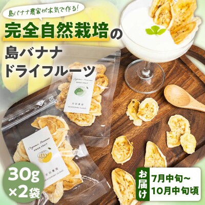 【先行受付】島バナナ農家が本気で作る完全自然栽培の島バナナドライフルーツ30グラム×2袋