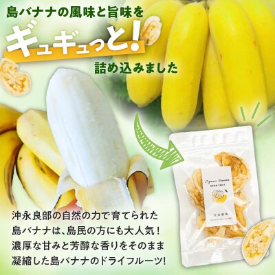 【先行受付】島バナナ農家が本気で作る完全自然栽培の島バナナドライフルーツ30グラム×2袋