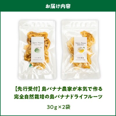 【先行受付】島バナナ農家が本気で作る完全自然栽培の島バナナドライフルーツ30グラム×2袋