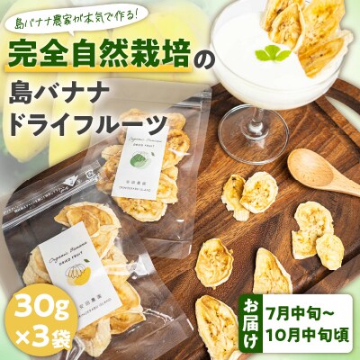 【先行受付】島バナナ農家が本気で作る完全自然栽培の島バナナドライフルーツ30グラム×3袋