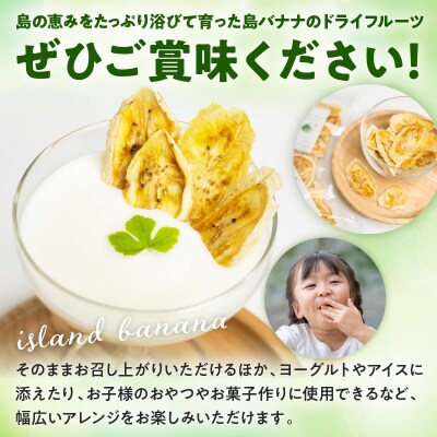 【先行受付】島バナナ農家が本気で作る完全自然栽培の島バナナドライフルーツ30グラム×3袋