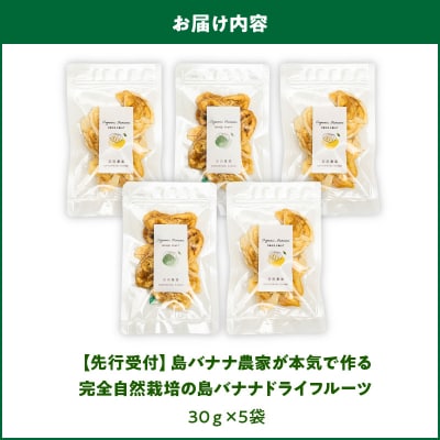 【先行受付】島バナナ農家が本気で作る完全自然栽培の島バナナドライフルーツ30g×5袋