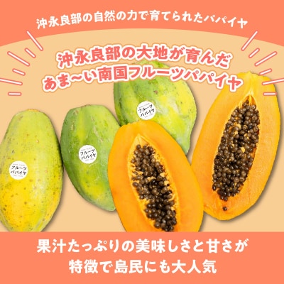【先行受付】沖永良部島の甘くて美味しいフルーツパパイヤ1キロ(2～3玉)