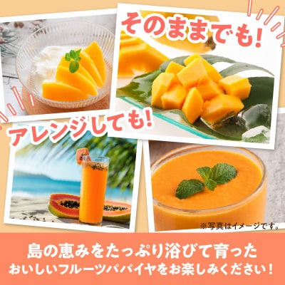 【先行受付】沖永良部島の甘くて美味しいフルーツパパイヤ1キロ(2～3玉)