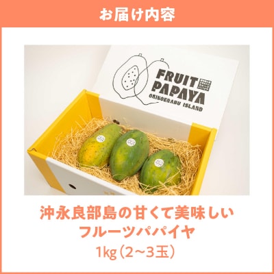 【先行受付】沖永良部島の甘くて美味しいフルーツパパイヤ1キロ(2～3玉)
