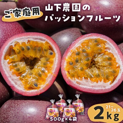 ふるさと納税 【 先行予約 】種子島 かわもと農園 パッション