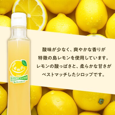 沖永良部島の島レモンシロップ(200ml)3本セット
