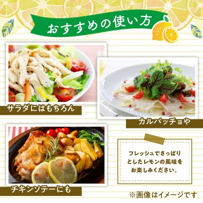 島レモンドレッシング(150ml)2本セット