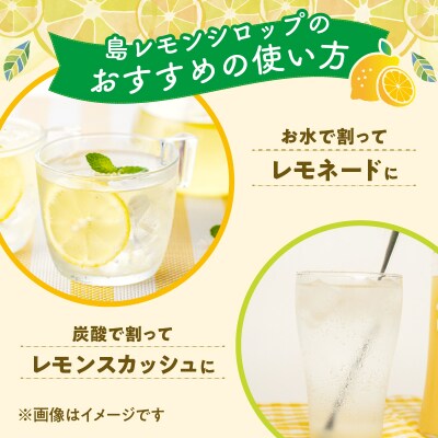 沖永良部島の島レモンシロップ(1本)と島レモンドレッシング(1本)セット!