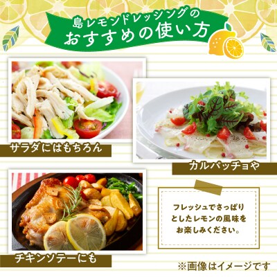 沖永良部島の島レモンシロップ(1本)と島レモンドレッシング(1本)セット!