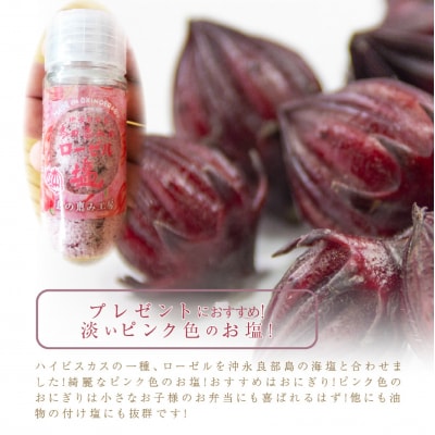 島の恵みのローゼル塩 (ビンタイプ)