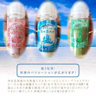 島塩3点セット (ビンタイプ)
