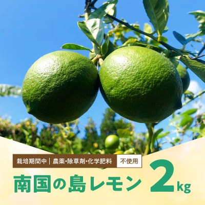 【先行受付】栽培期間中　農薬・除草剤・化学肥料不使用!南国の島レモン2キロ!【9月～2月下旬】