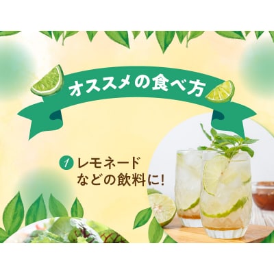 【先行受付】栽培期間中　農薬・除草剤・化学肥料不使用!南国の島レモン2キロ!【9月～2月下旬】