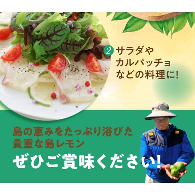 【先行受付】栽培期間中　農薬・除草剤・化学肥料不使用!南国の島レモン3キロ!【9月～2月下旬】