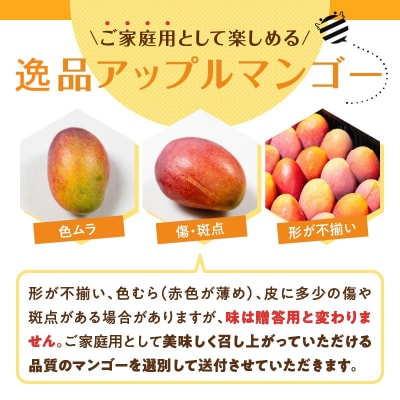 【2025年先行受付】≪ご家庭用≫東マンゴー園直送!完熟アップルマンゴー 2キロ(4～6玉)