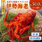 沖永良部島直送!素潜り漁師オススメのボイル済み冷凍伊勢海老約500グラム