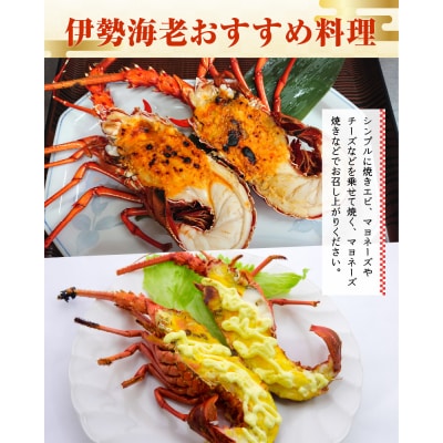 沖永良部島直送!素潜り漁師オススメのボイル済み冷凍伊勢海老約500グラム