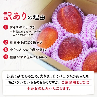 【2025年先行受付】訳あり 田中マンゴー園 完熟アップルマンゴー約2キロ(4～8玉)(ご家庭用)