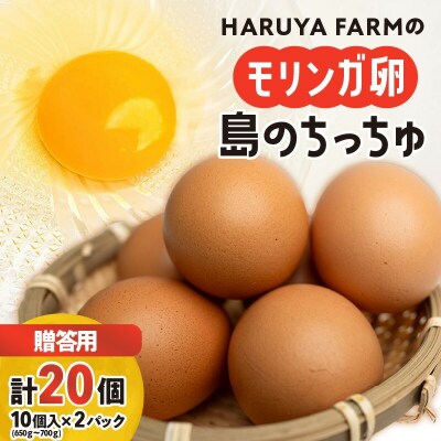 【贈答用】HARUYA FARMのモリンガ卵「島のちっちゅ」