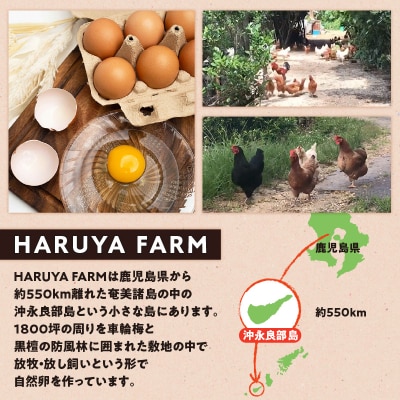 【贈答用】HARUYA FARMの有精卵「島のちっちゅ」