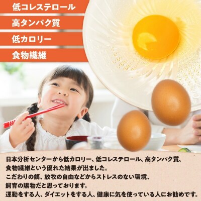 【贈答用】HARUYA FARMのモリンガ卵「島のちっちゅ」