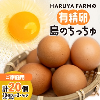 【ご家庭用】HARUYA FARMの有精卵「島のちっちゅ」