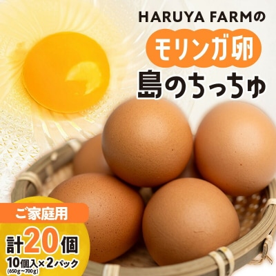 【ご家庭用】HARUYA FARMのモリンガ卵「島のちっちゅ」