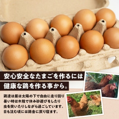 【ご家庭用】HARUYA FARMのモリンガ卵「島のちっちゅ」