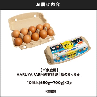 【ご家庭用】HARUYA FARMの有精卵「島のちっちゅ」