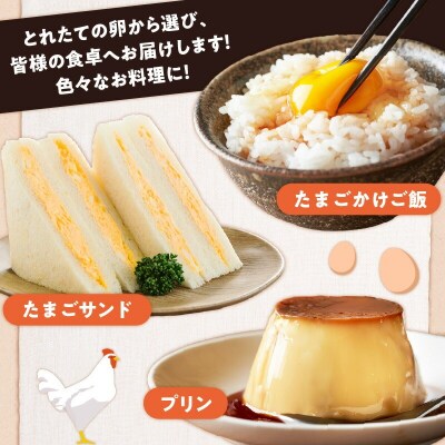 【ご家庭用】HARUYA FARMのモリンガ卵「島のちっちゅ」