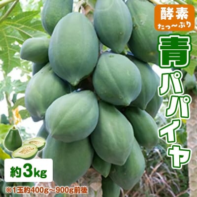酵素たっぷり「青パパイヤ」 3キロ