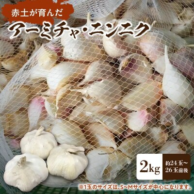 【2025年先行受付】赤土が育んだアーミチャ・ニンニク2キロ