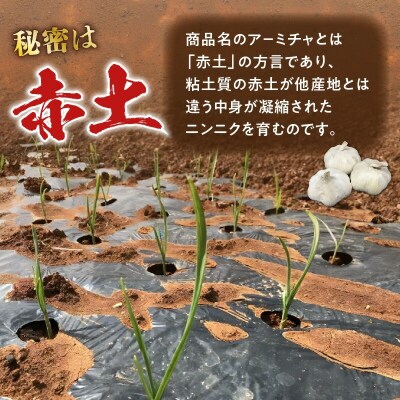 【2025年先行受付】赤土が育んだアーミチャ・ニンニク2キロ