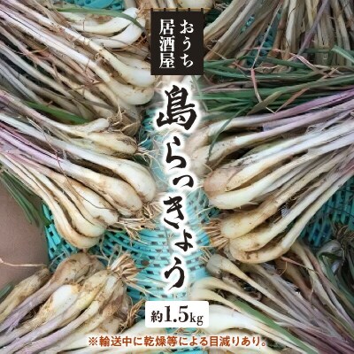 【2025年先行受付】おうち居酒屋。島らっきょう約1.5キロ