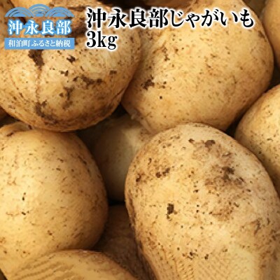 【2025年先行受付】私も惚れたホクホク食感!まるとよ農産の「沖永良部じゃがいも」3キロ!