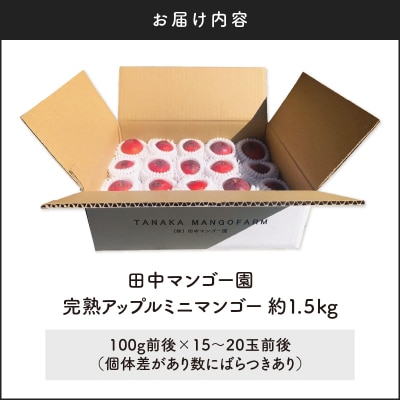 田中マンゴー園の完熟アップルミニマンゴー 1.5キロ