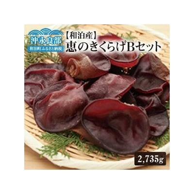 地の利を生かした沖永良部産 恵のきくらげBセット
