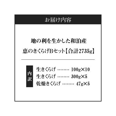 地の利を生かした沖永良部産 恵のきくらげBセット