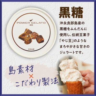 POWER GELATO 沖永良部島産 黒糖 90ml×15個入り