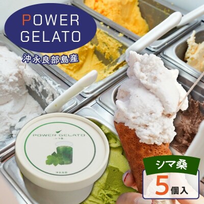 POWER GELATO 沖永良部島産 シマ桑 90ml×5個入り