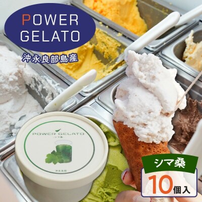POWER GELATO 沖永良部島産 シマ桑 90ml×10個入り