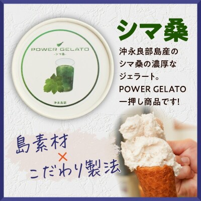 POWER GELATO 沖永良部島産 シマ桑 90ml×10個入り