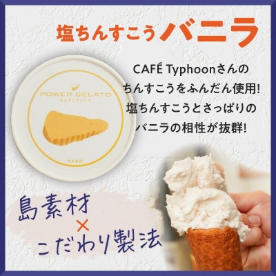 POWER GELATO 沖永良部島産 塩ちんすこうバニラ 90ml×10個入り