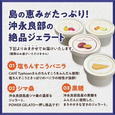 POWER GELATO 沖永良部島産 ミックスセット 6個入り